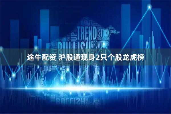 途牛配资 沪股通现身2只个股龙虎榜