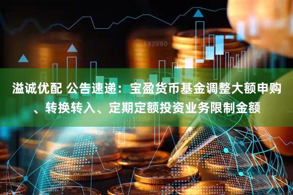 溢诚优配 公告速递：宝盈货币基金调整大额申购、转换转入、定期定额投资业务限制金额