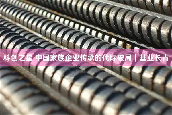 科创之星 中国家族企业传承的代际破局｜基业长青