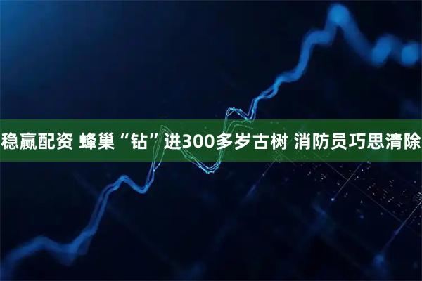 稳赢配资 蜂巢“钻”进300多岁古树 消防员巧思清除