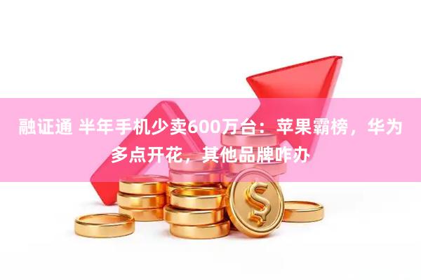 融证通 半年手机少卖600万台：苹果霸榜，华为多点开花，其他品牌咋办